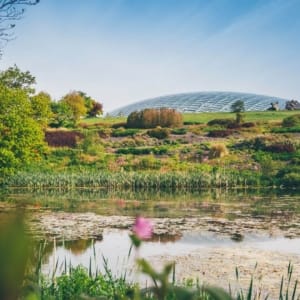 Meditation Day Retreat