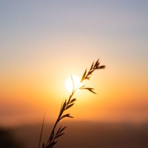 Transform Your Life with Meditation